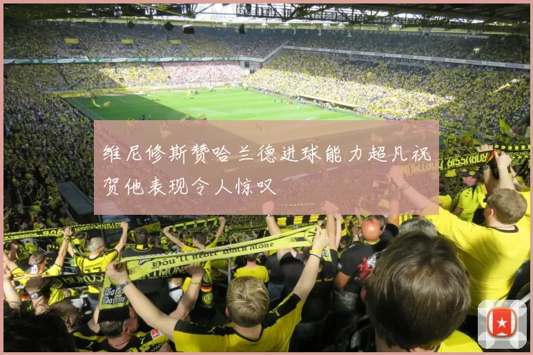 维尼修斯赞哈兰德进球能力超凡祝贺他表现令人惊叹